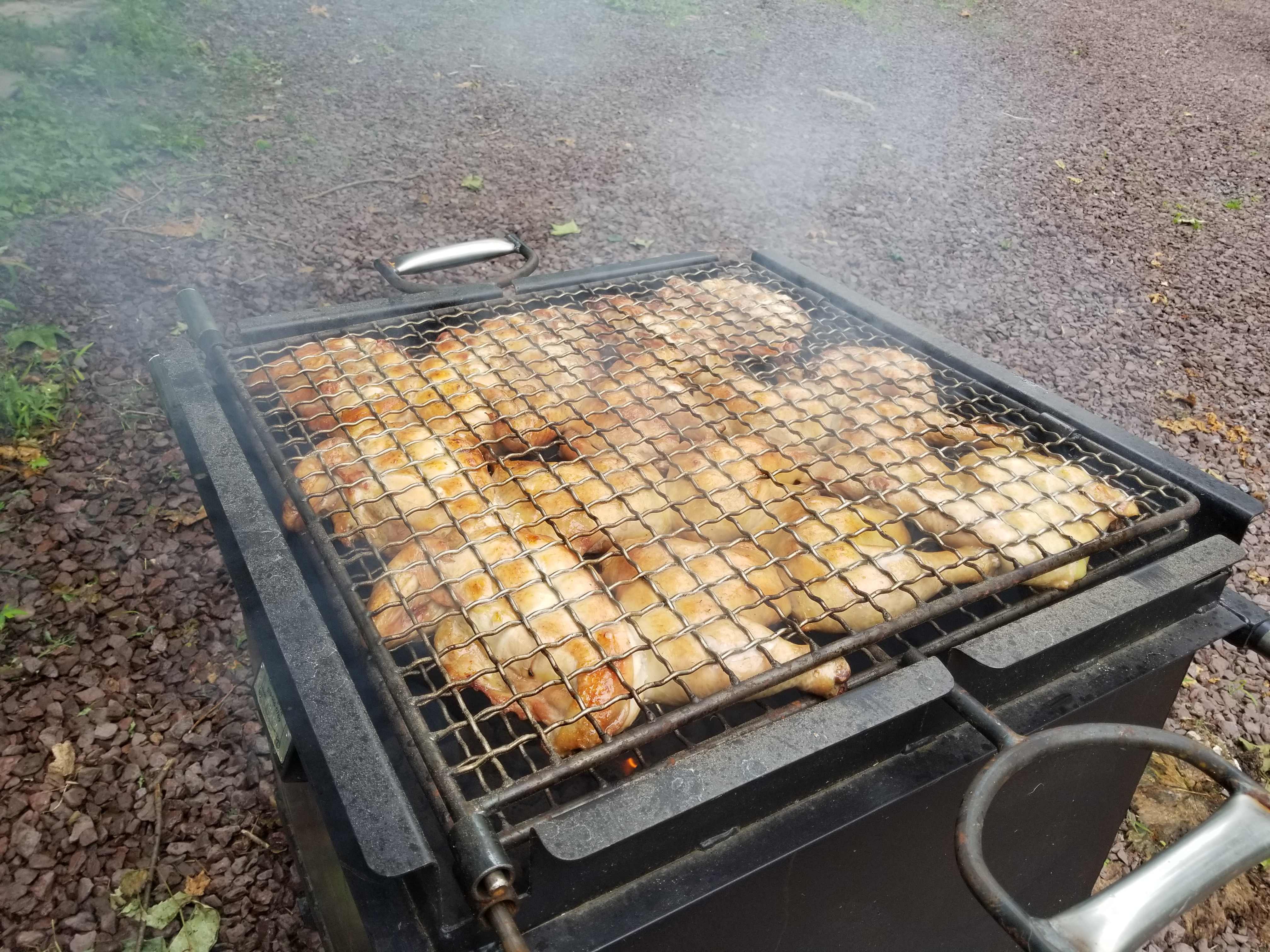 chicken bbq pit racks