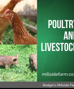 Poultry and Livestock